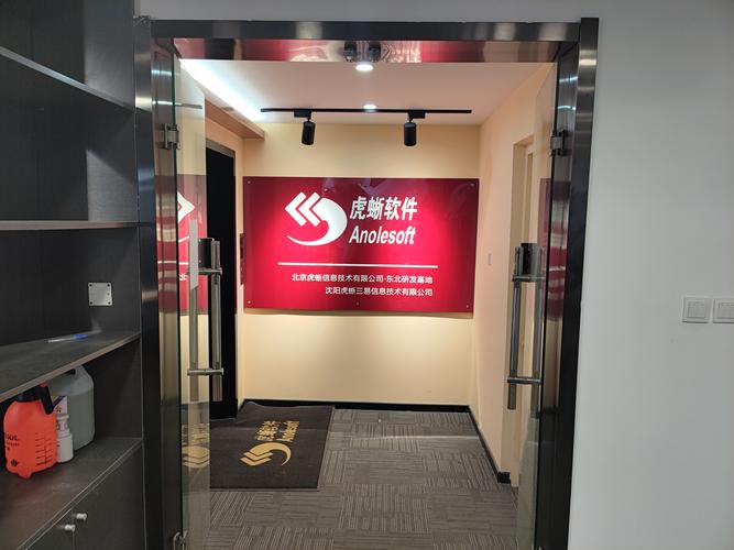 北京虎蜥信息技術 專業信息技術咨詢服務的引領者